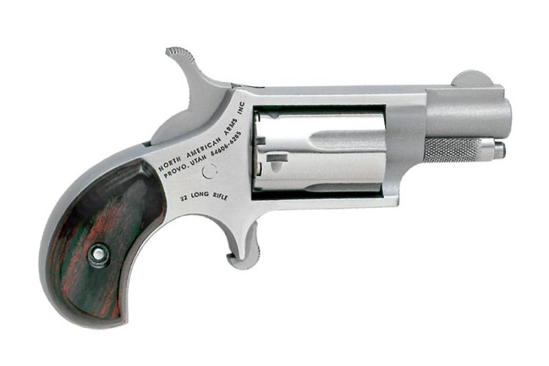 North American Arms NAA Mini Revolver, 22LR, 1 1/8″ Barrel, Stainless ...